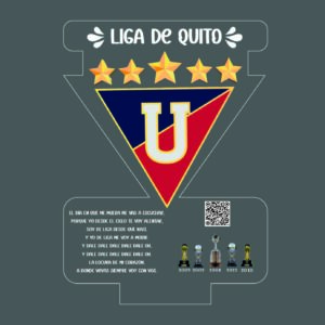22 PLACA LIGA