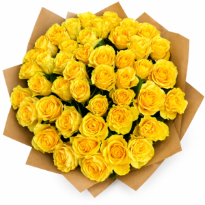 Bonche de Rosas