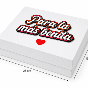 CAJA RECTANGULAR 25X19,8X5,5